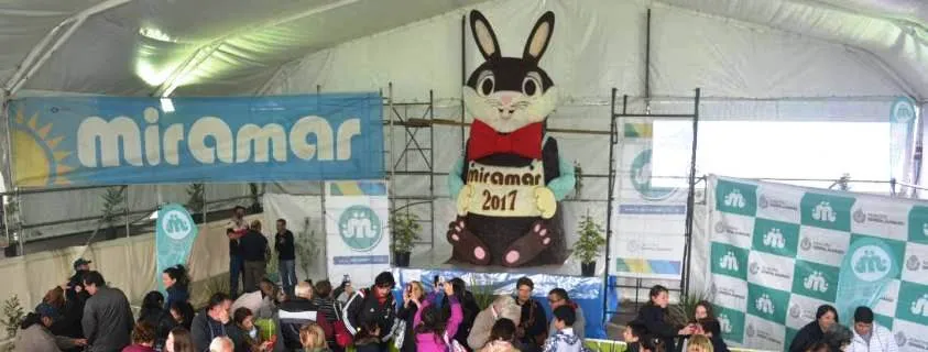 Noticias de Miramar. Conejo Gigante de Chocolate
