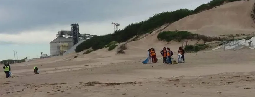 Noticias de Necochea. Tareas de limpieza en playas de Quequén