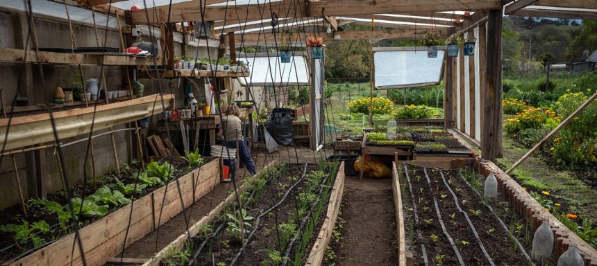 Actividad en General Pueyrredon. Curso de Huerta Agroecológica