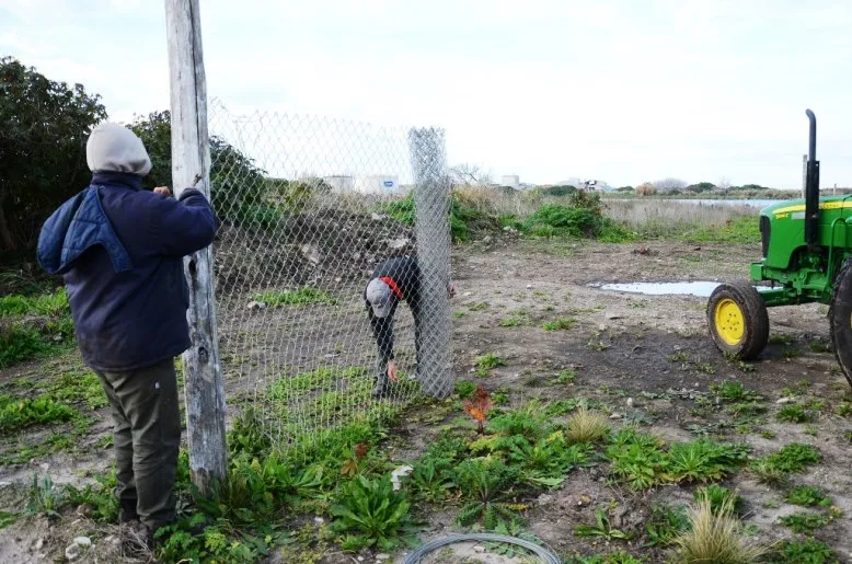 Noticias de Mar del Plata. Colocan el alambrado perimetral en la Reserva del Puerto