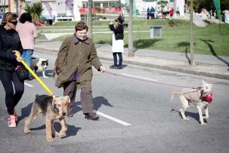 Noticias de Mar del Plata. Caminata con mascotas para celebrar el Día del Animal