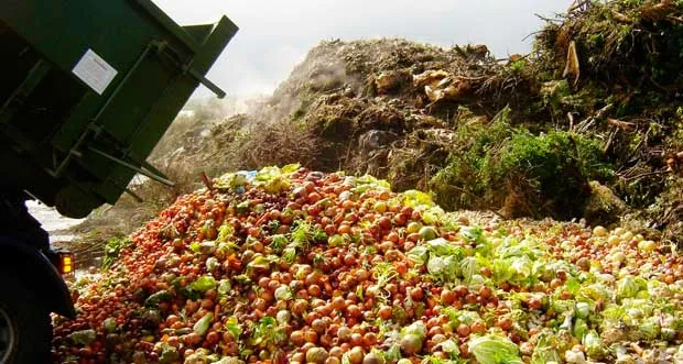 Noticias de Mar del Plata. Aprovechamiento de los residuos de alimentos en Mar del Plata
