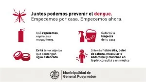 Noticias de Mar del Plata. Intensifican la campaña de prevención contra el Dengue