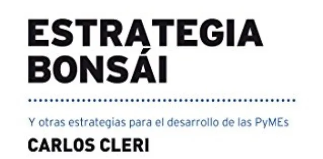 Noticias de Mar del Plata. Estrategias para el desarrollo de las PyMEs