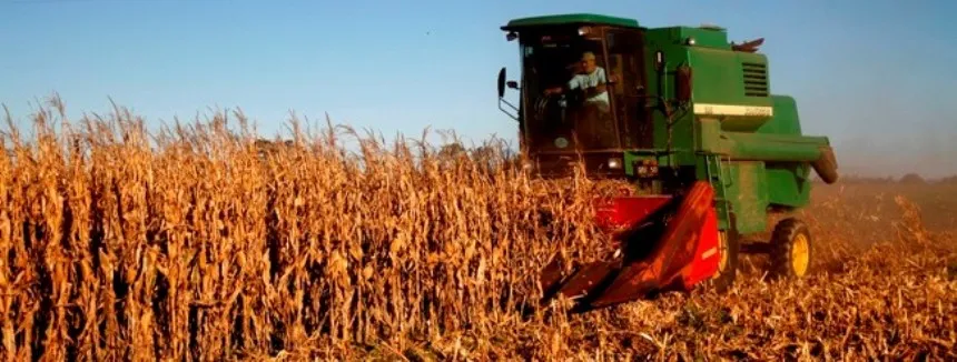 Noticias de Agro y Negocios. La comercialización de granos creció un 59 por ciento