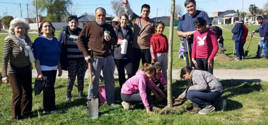 Noticias de Mar del Plata. Nuevos árboles para la Plaza del barrio Autódromo