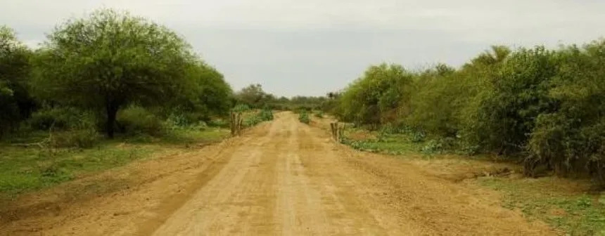 Noticias de Agro y Negocios. Realizan estudios para la conservación de caminos rurales