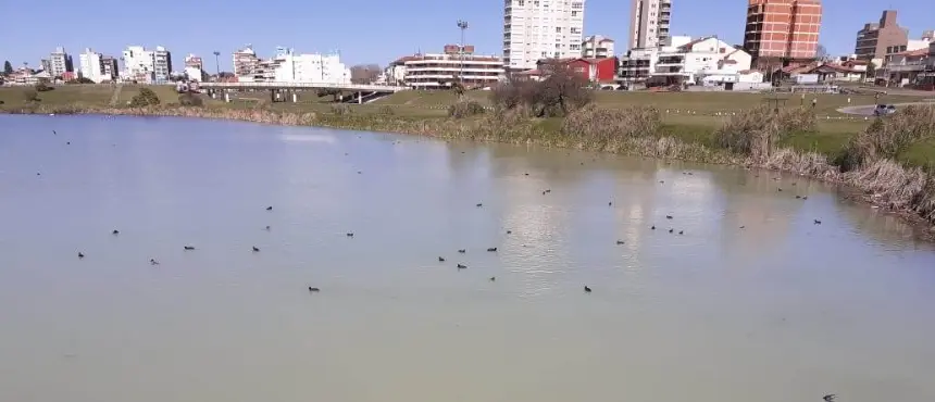 Noticias de Mar del Plata. Denuncian contaminación en las Lagunas de Punta Mogotes
