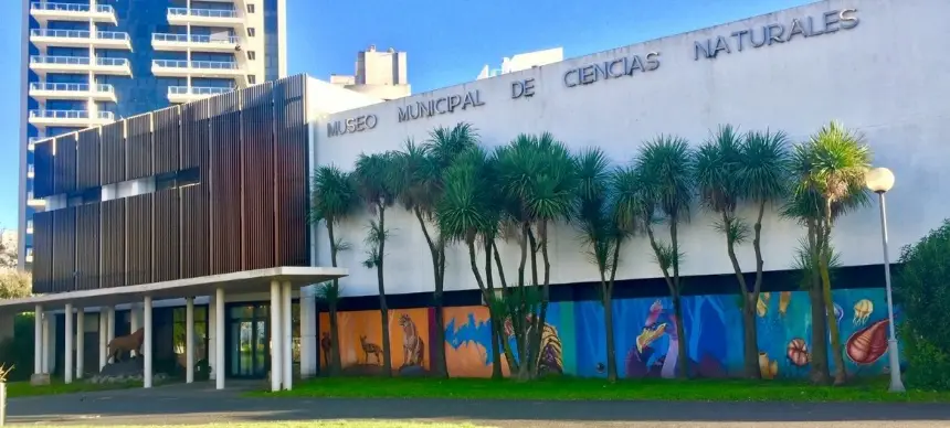 Noticias de Mar del Plata. El Museo Scaglia refuerza su servicio educativo virtual