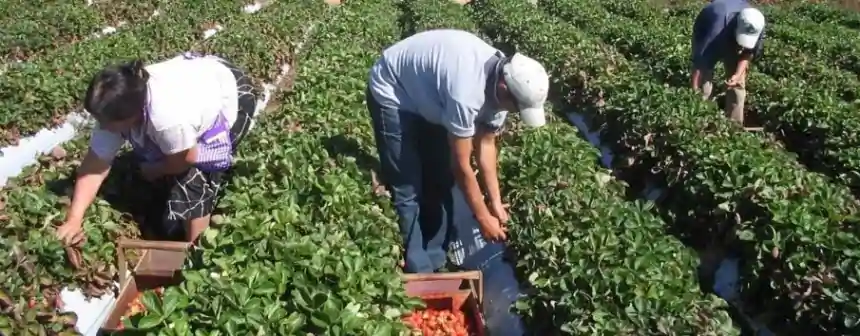 Noticias de Agro y Negocios. Jornada sobre derechos de trabajadores rurales