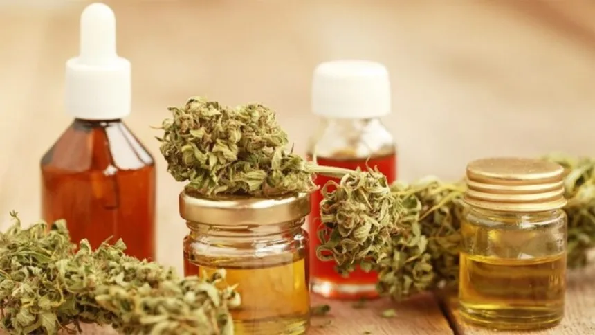 Nueva reglamentación para facilitar el acceso al cannabis para uso medicinal en Regionales. Noticia de Región Mar del Plata