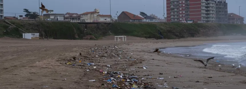Noticias de Mar del Plata. Piden una solución por la basura que inunda las playas del norte marplatense