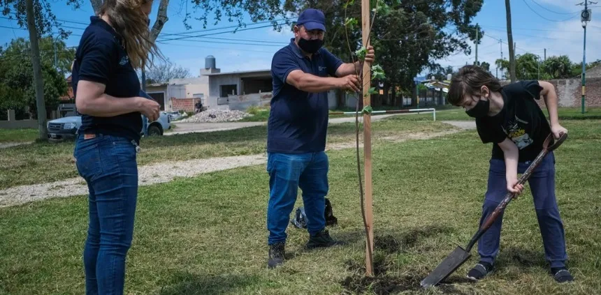 Plantaron 1.000 árboles en más de 30 barrios marplatenses en General Pueyrredon. Noticia de Región Mar del Plata