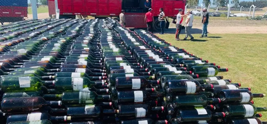 Recuperaron 19.000 botellas de vidrio en Loberia. Noticia de Región Mar del Plata