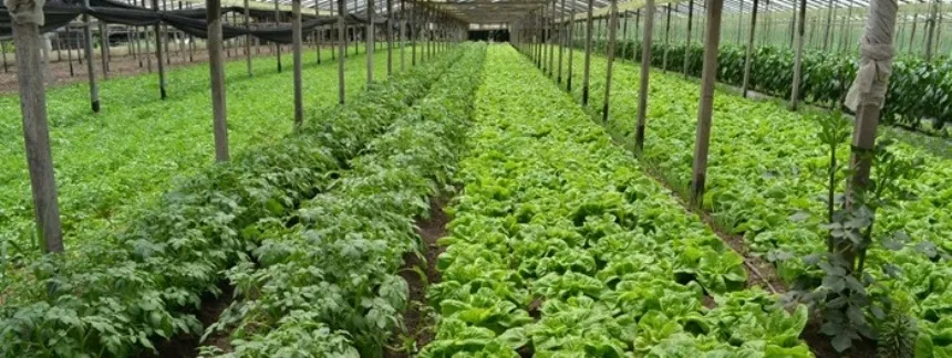 Noticias de Agro y Negocios. Se destinaron 32 millones de pesos a proyectos agroecológicos