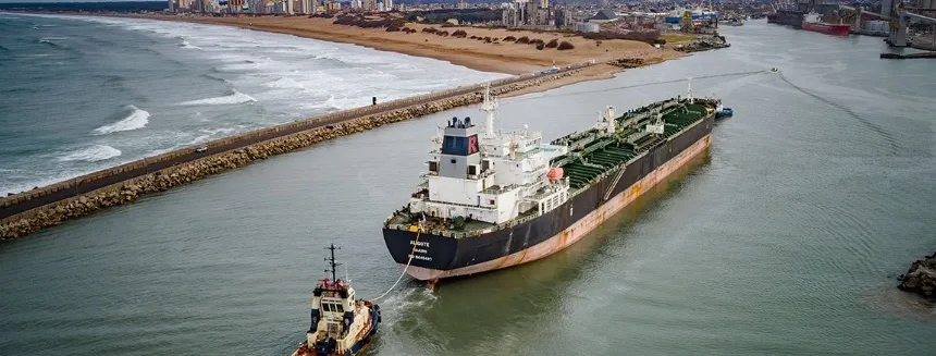 Argentina lidera la exportación de harina y aceite de soja en Agro y Negocios. Noticia de Región Mar del Plata