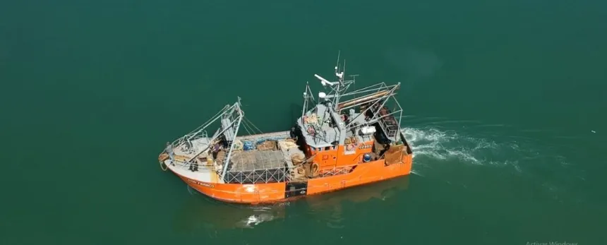 Noticias de Mar del Plata. Cuestionan limitaciones para la pesca de gatuzo