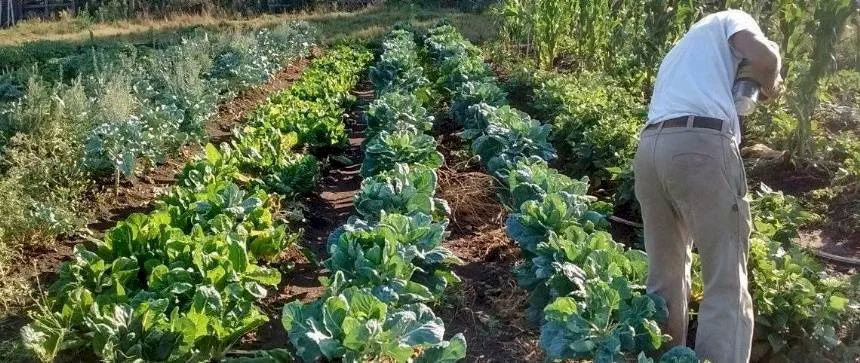 Noticias de Agro y Negocios. Diplomatura sobre Agroproducción Sostenible en Miramar