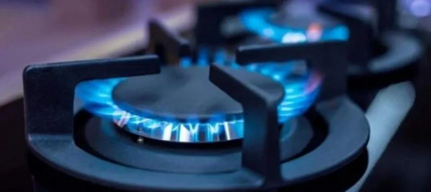 El proyecto para bajar las tarifas de gas en la región fue aprobado en el Senado en Regionales. Noticia de Región Mar del Plata