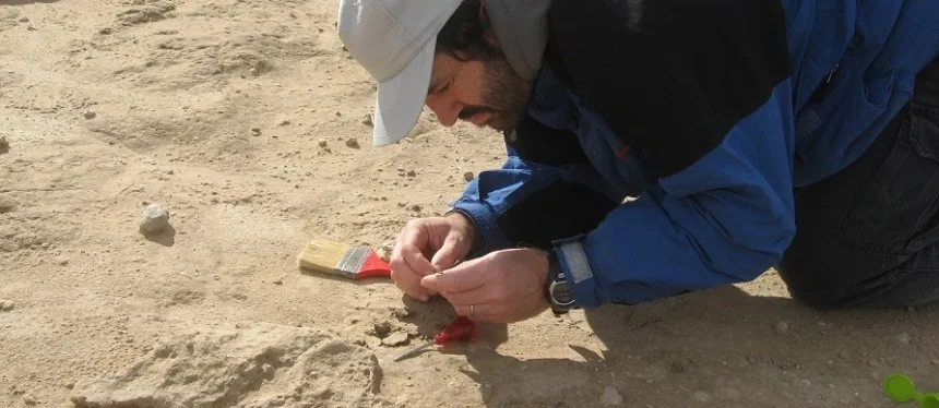 Encuentran un fósil de 100 mil años en Miramar en General Alvarado. Noticia de Región Mar del Plata