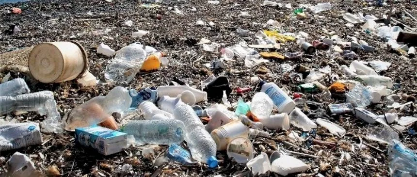 Noticias de Mar del Plata. Encuentro nacional sobre basura plástica