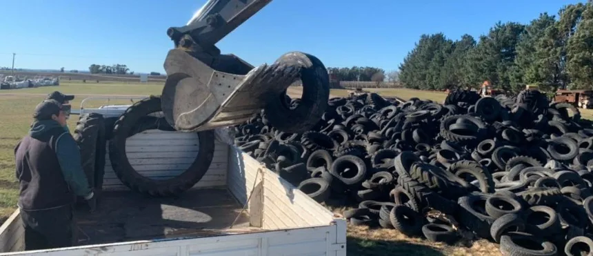 Envían neumáticos a reciclar en Loberia. Noticia de Región Mar del Plata