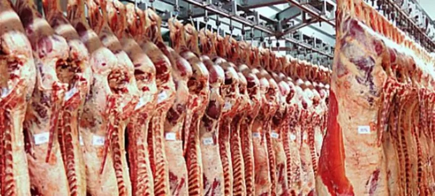 Noticias de Agro y Negocios. Exportaciones de carne registran una importante recuperación en agosto