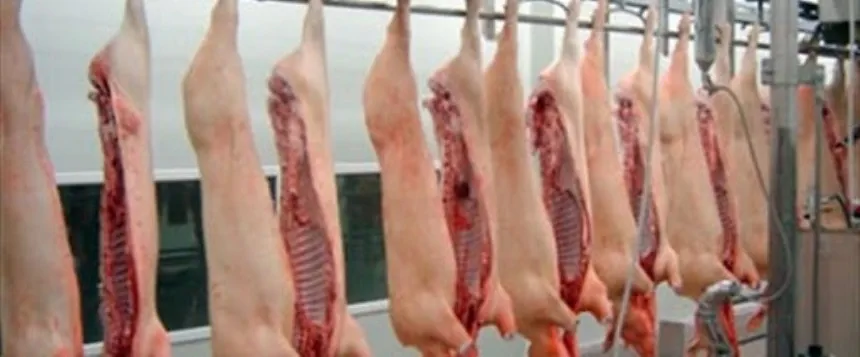Ponen valores de referencia para la exportación de carne porcina en Agro y Negocios. Noticia de Región Mar del Plata