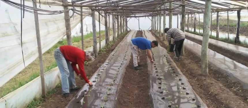 ProHuerta un programa que prioriza la producción de alimentos agroecológicos en Agro y Negocios. Noticia de Región Mar del Plata