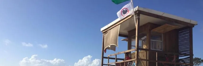 Noticias de Mar del Plata. Propuesta para utilizar la bandera para evitar aglomeraciones en playa