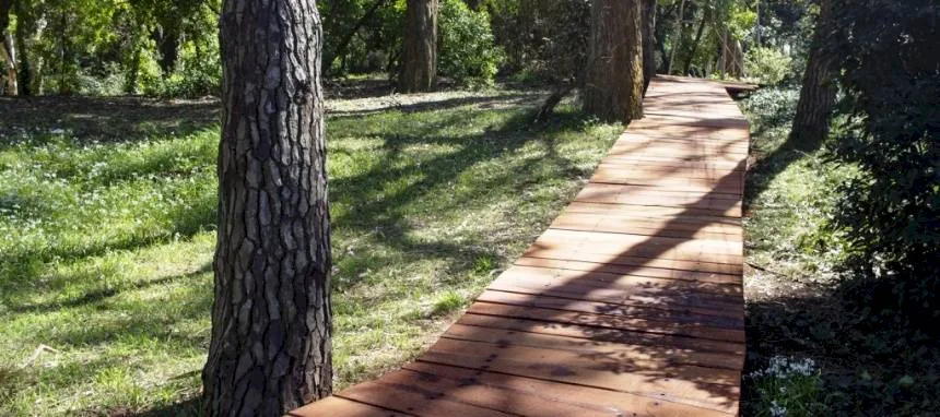 Una rambla conecta el bosque y el mar en Villa Gesell. Noticia de Región Mar del Plata