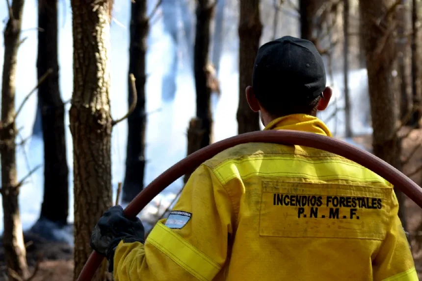 Acciones preventivas ante la posibilidad de incendios forestales en General Alvarado. Noticia de Región Mar del Plata