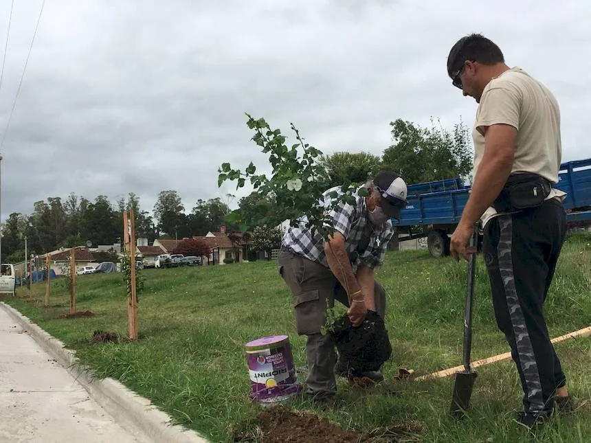Avanzan a paso firme hacia el objetivo de plantar más de 10.000 árboles en 5 años en Tandil. Noticia de Región Mar del Plata