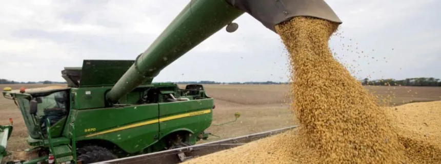 Avanza la inscripción de productores de maíz y soja al Programa de Compensación