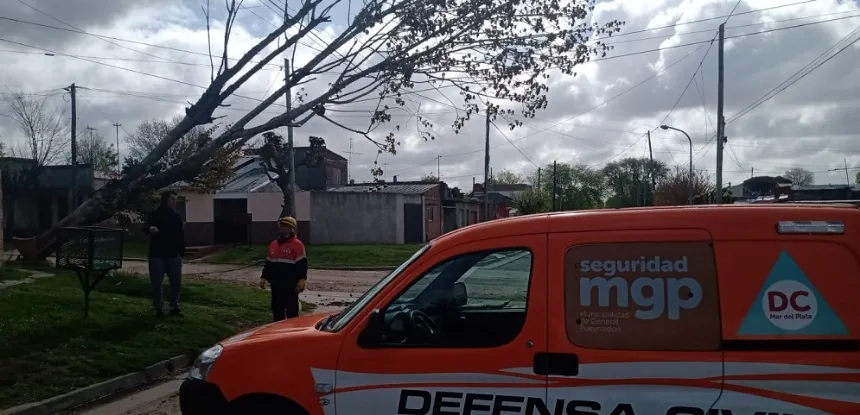 Balance de las acciones realizadas frente a la tormenta de viento en Mar del Plata en General Pueyrredon. Noticia de Región Mar del Plata