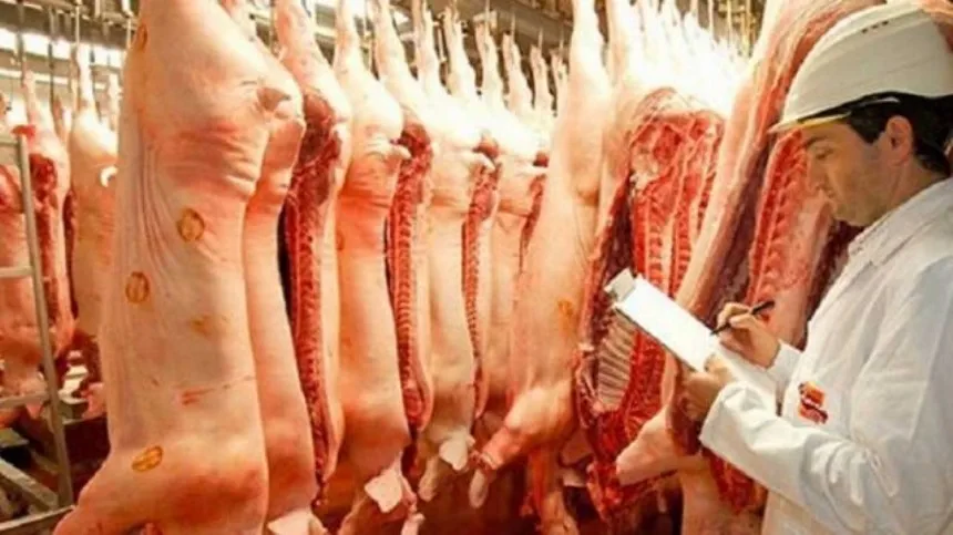 Noticias de Agro y Negocios. Cayeron abruptamente las exportaciones de carne porcina