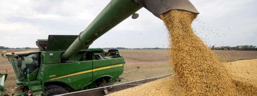Noticias de Agro y Negocios. Crecen los precios del trigo y la soja por el conflicto entre Rusia y Ucrania