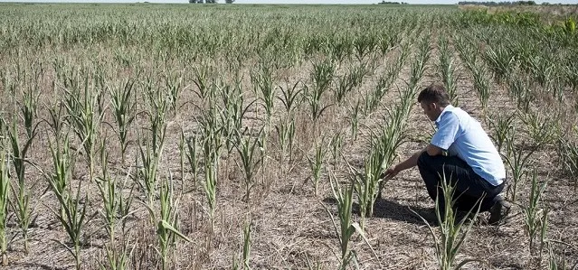 El área en sequía se incrementó en 10 millones de hectáreas en Agosto en Agro y Negocios. Noticia de Región Mar del Plata