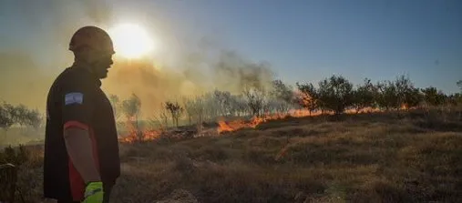 El distrito contó con unos 60 incendios forestales en dos días en General Pueyrredon. Noticia de Región Mar del Plata
