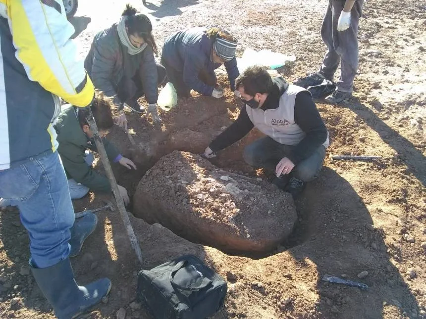 Noticias de Miramar. Encuentran fósiles de un perezoso gigante en Miramar