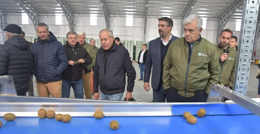 Inauguraron una planta de frio y empaque de kiwis en Miramar en General Alvarado. Noticia de Región Mar del Plata