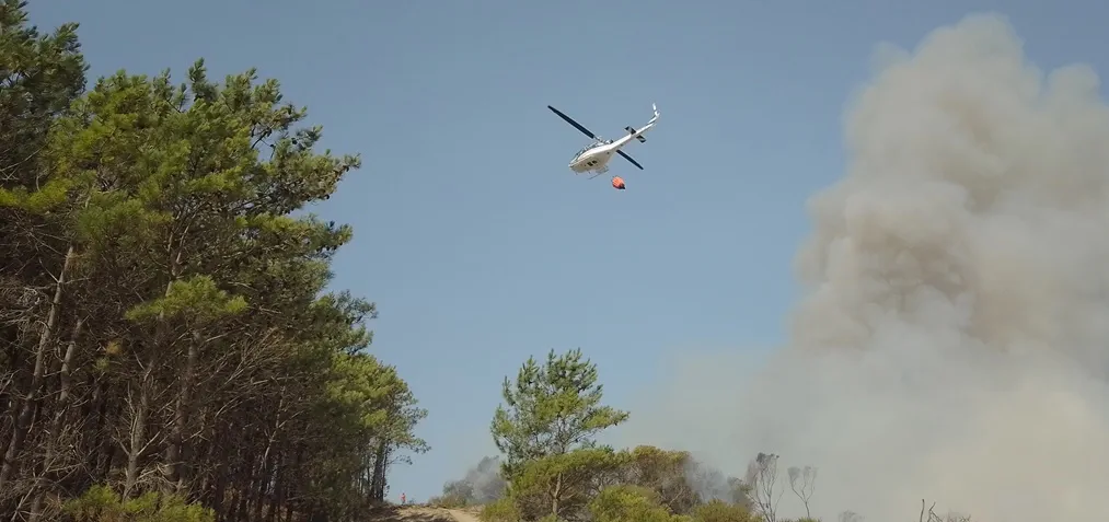 Incendio en el Bosque lindero a la ruta que comunica Miramar y Mar del Sud en General Alvarado. Noticia de Región Mar del Plata