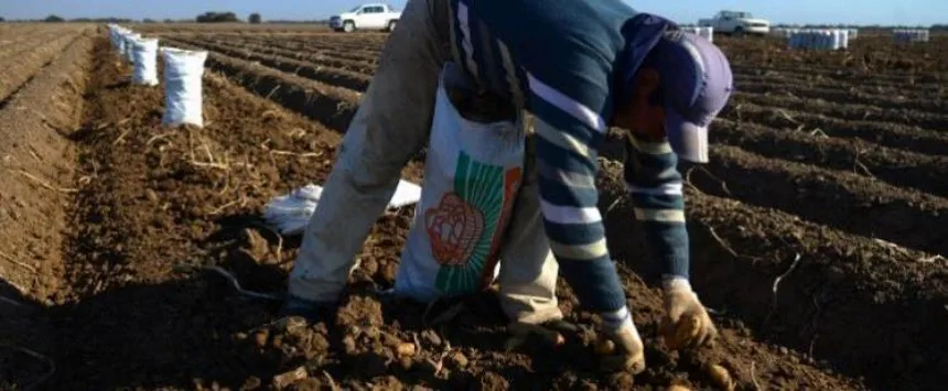 La AFIP desactivó un caso de explotación laboral de ocho personas en un campo en Balcarce. Noticia de Región Mar del Plata