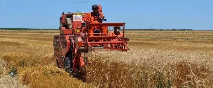 La niña pone en riesgo proyección de cosechas récords en Agro y Negocios. Noticia de Región Mar del Plata