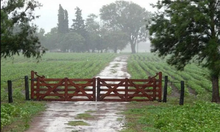 Las lluvias no alcanzan a revertir las condiciones que sufren algunos cultivos en Agro y Negocios. Noticia de Región Mar del Plata