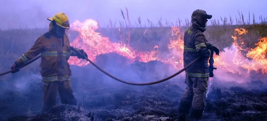 Lograron contener el incendio de la Reserva de Mar Chiquita en Mar Chiquita. Noticia de Región Mar del Plata