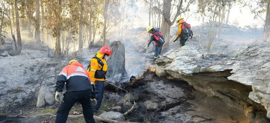 Noticias de Mar del Plata. Lograron controlar un incendio forestal en Sierra de los Padres