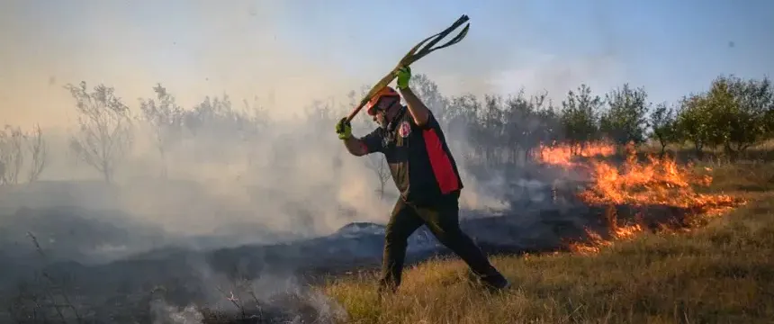 Noticias de Mar del Plata. Piden extremar medidas para evitar incendios forestales