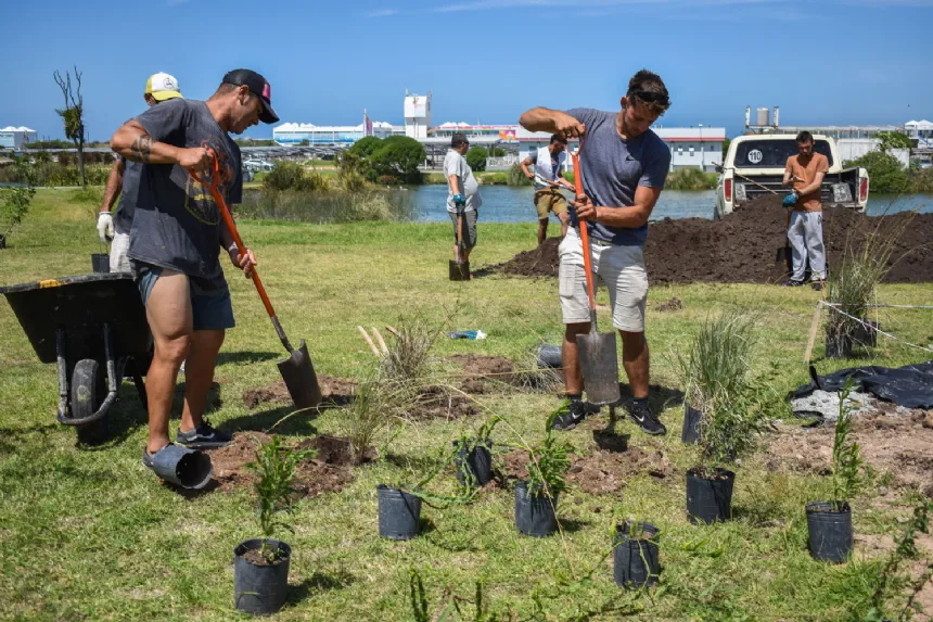 Plantaron 330 ejemplares de nativas en el Complejo Punta Mogotes en General Pueyrredon. Noticia de Región Mar del Plata