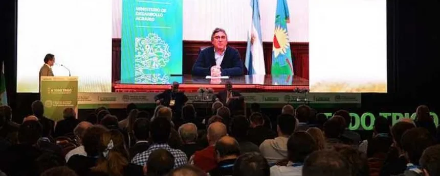 Rodríguez anunció la Tercera Campaña de Calidad de Trigo en Agro y Negocios. Noticia de Región Mar del Plata